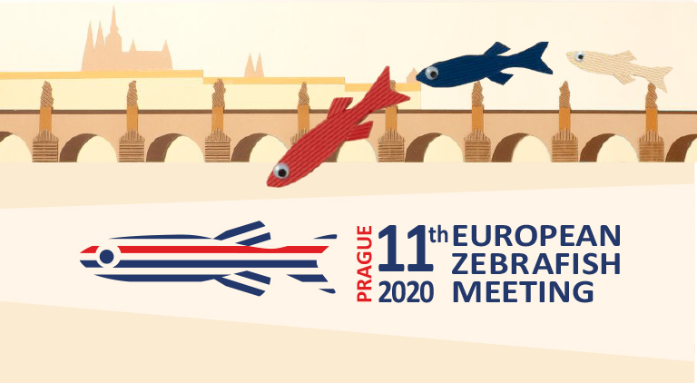 11th EUROPEAN ZEBRAFISH MEETING - Conference Banner